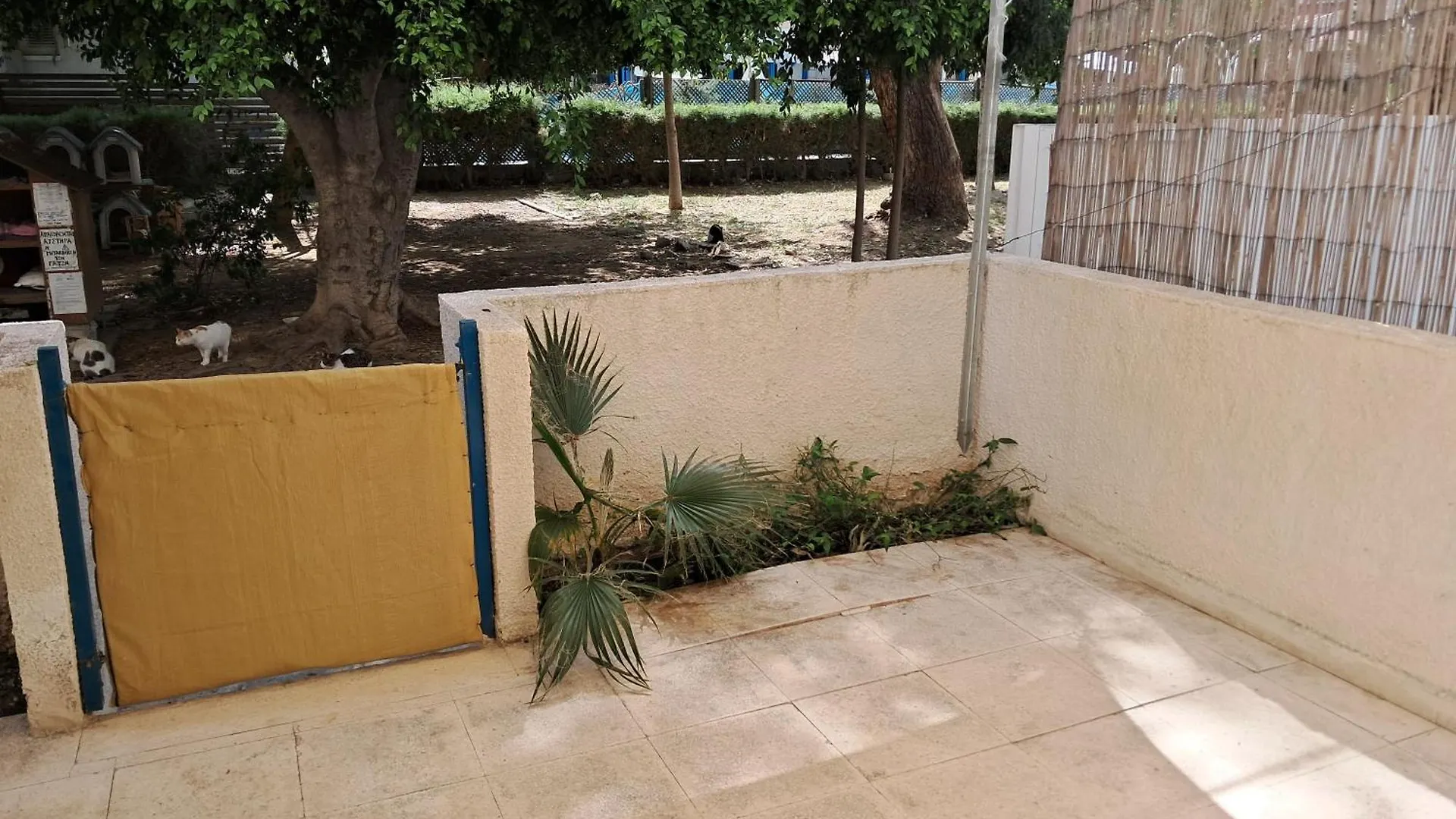 Lca2 Flat For You Apartment Larnaca Cyprus